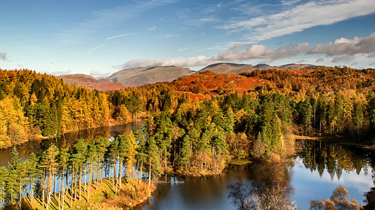 Tarn Hows, Lake District