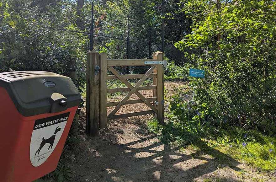 Looking at the entrance to a wooded dog walking area with a poo bin by the gate. Abbey Wood Campsite, London