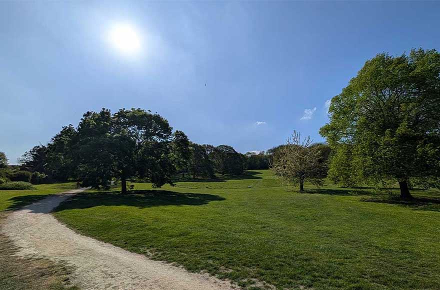 A very pretty image of grassy banks with full trees under a bright blue sunny sky at Abbey Woods, near Abbey Wood campsite, London