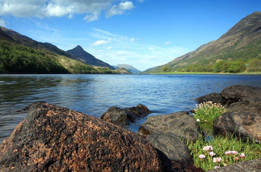 Rocks and flowers looking out at Loch Leven and the Pap of Glencoe