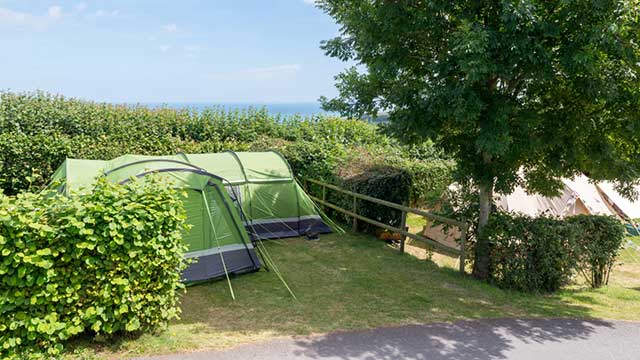 Two tents pitched on the grass under the cover of a tree at Hillhead