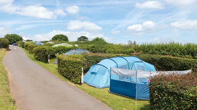 A blue tent is pitched in a a secluded, hedged area