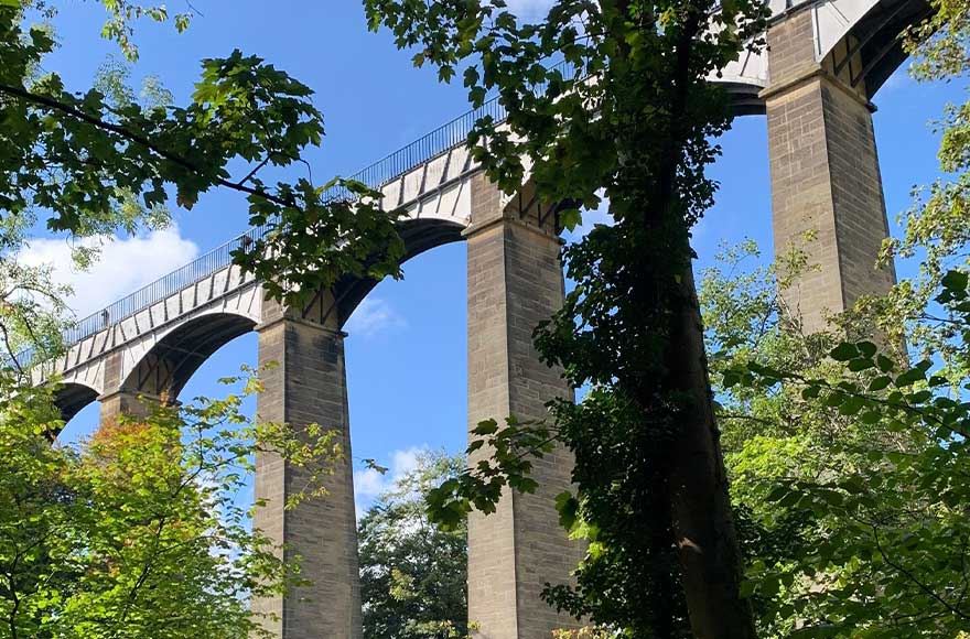 Looking up at Pontcysyllte Aqueduct from the shadow of a leafy tree by the river. The tall pillars towering up to the aqueduct under a lovely blue sky