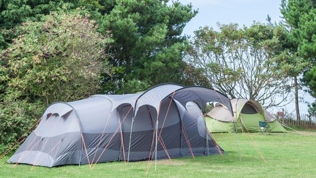 tents in lush green fields at Seacroft campsite