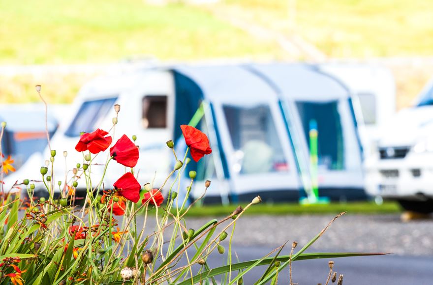 Caravan with flowers in the foreground