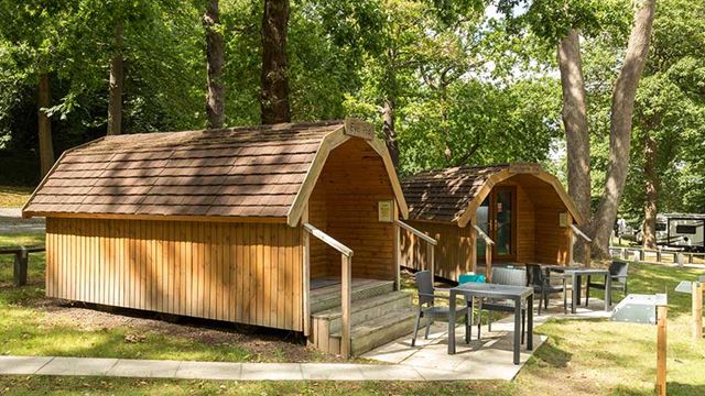 camping pod surrounded by trees