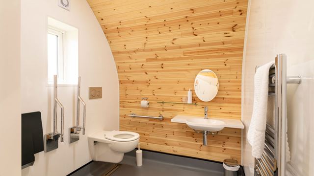 Wheelchair accessible bathroom with a toilet, sink, and mirror