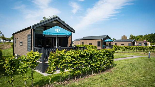 Glamping cabin in a field surrounded lush bushes