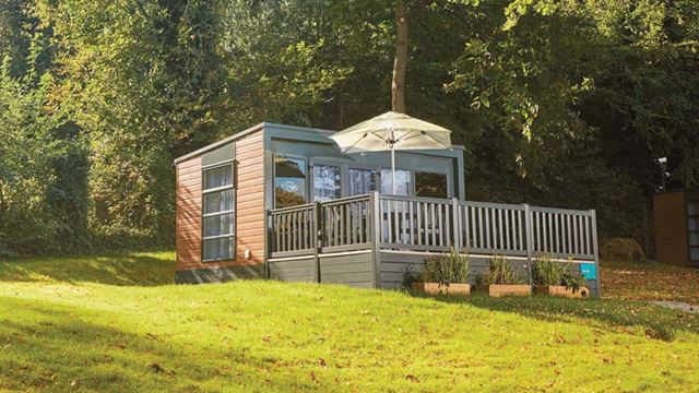 glamping pod surrounded by trees and grass