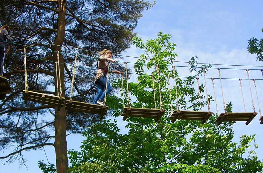 Go Ape