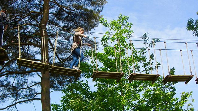 Go Ape