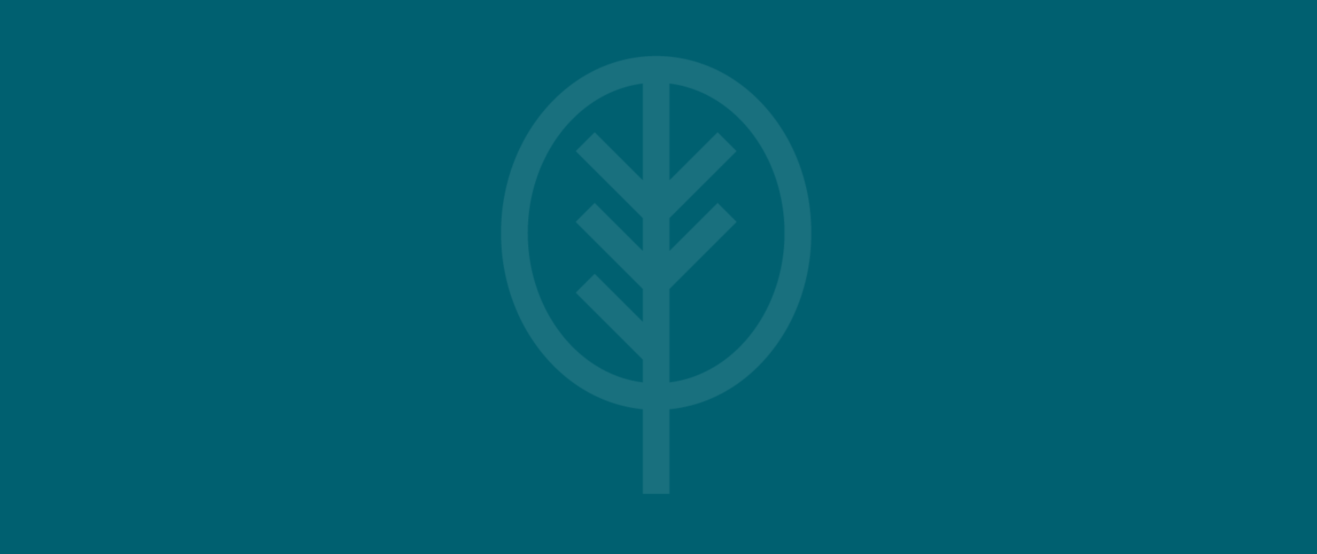 experience freedom leaf logo