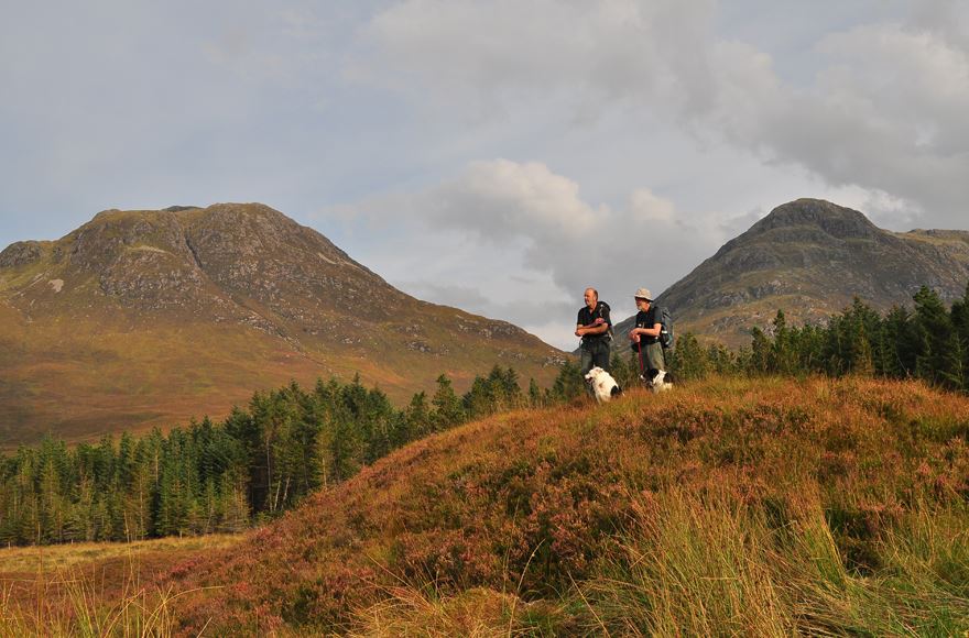 Two hikers and two collie dogs on a highland hill with a backdrop of two big mountains with a bright but cloudy sky