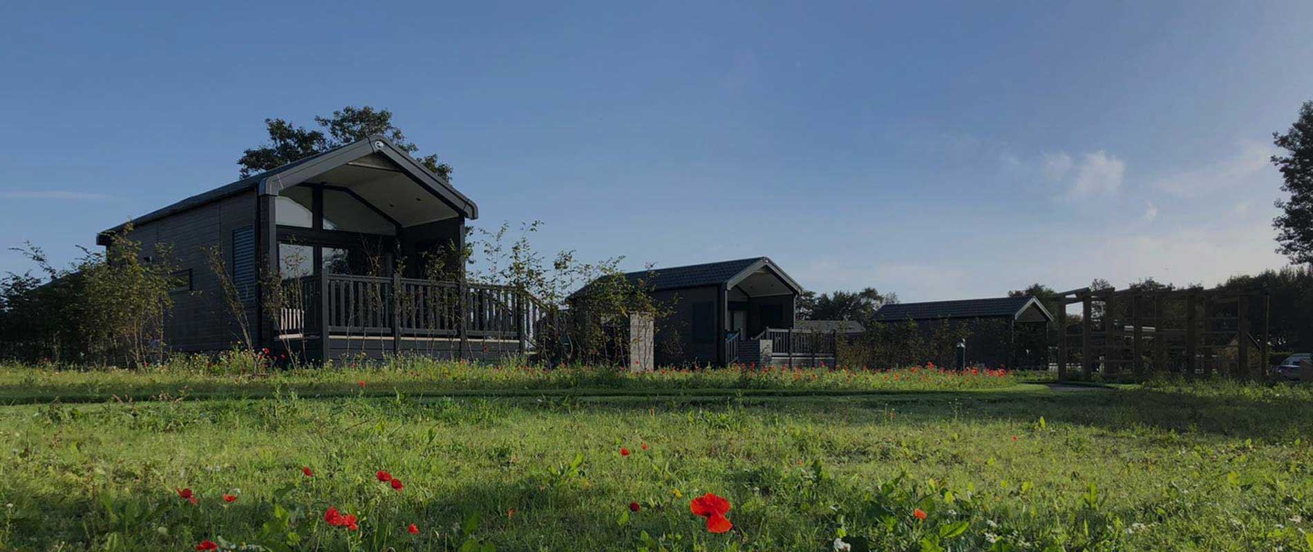 glamping cabins in a field with red flowers 