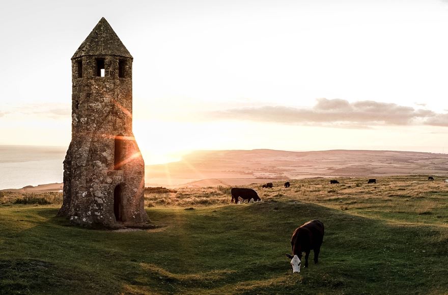 Stone tower of St Catherine's Oratory  stands tall as cows graze peacefully on the lush green grass surrounding it