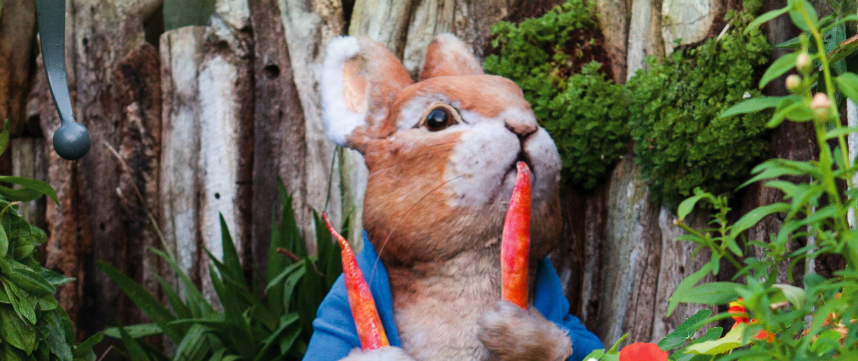 Peter Rabbit eating a carrot mannequin at the World of Beatrix Potter
