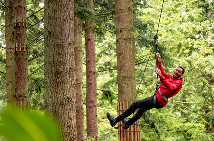 Man attached to harness among trees at GoApe