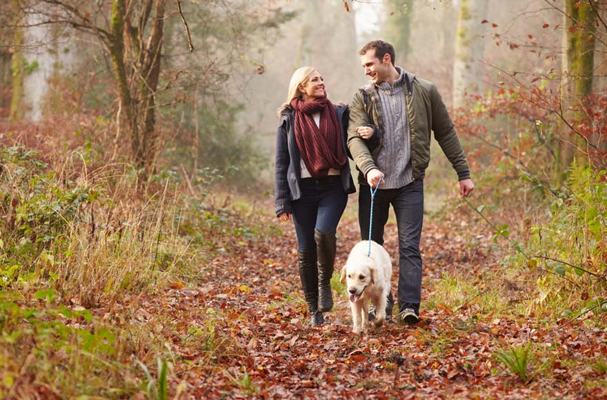 Couple walking their dog in autumn leaves